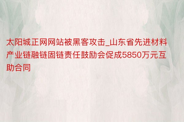 太阳城正网网站被黑客攻击_山东省先进材料产业链融链固链责任鼓